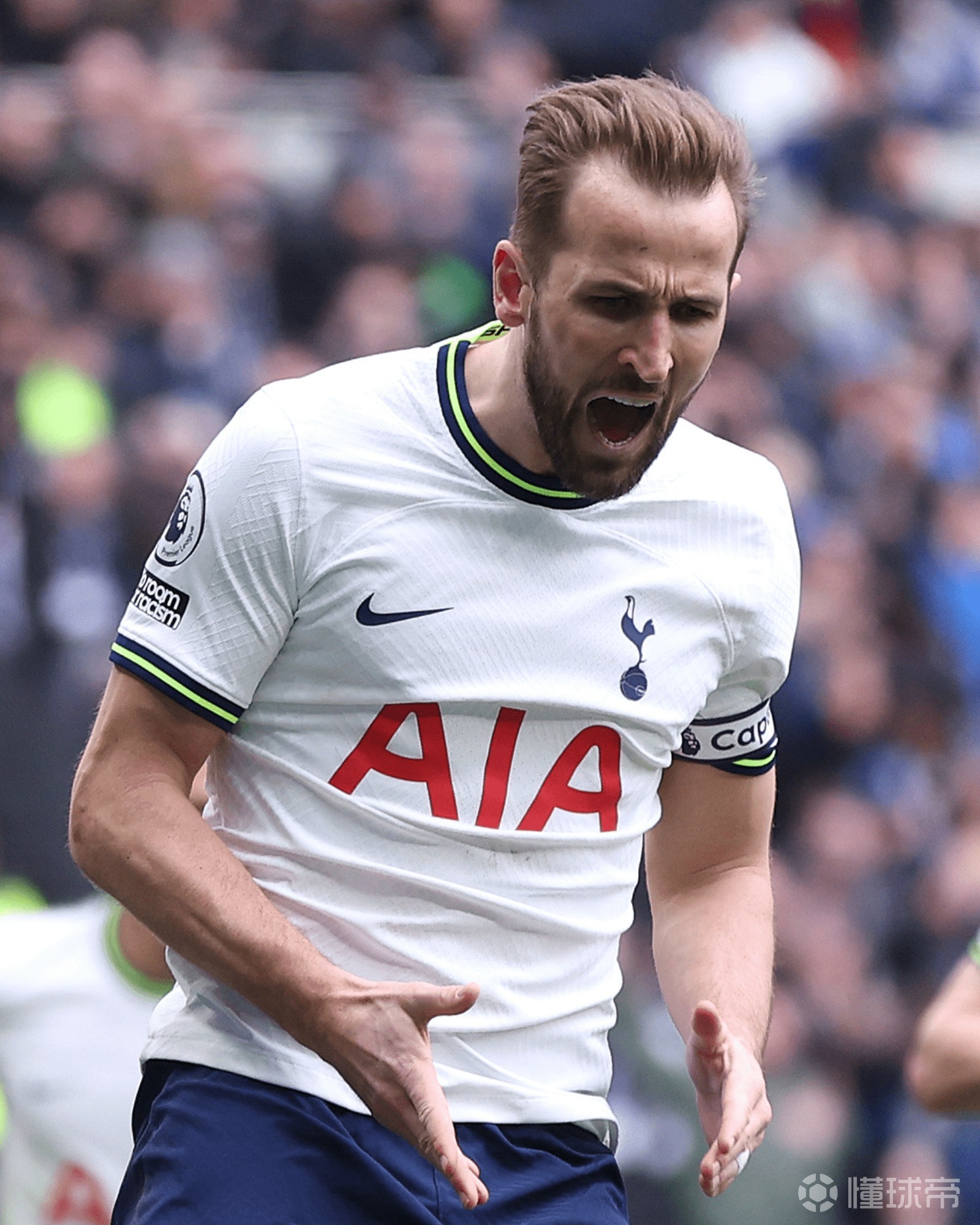 非暴力沟通经典句子